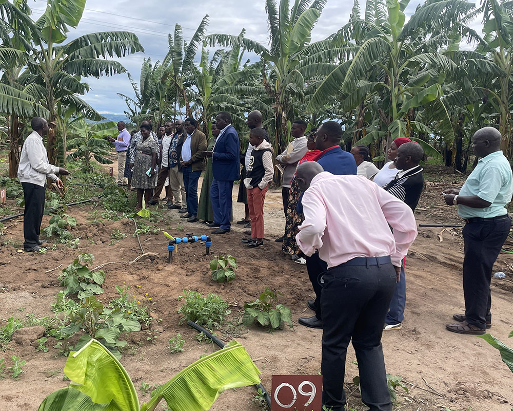 Irrigation Demonstration