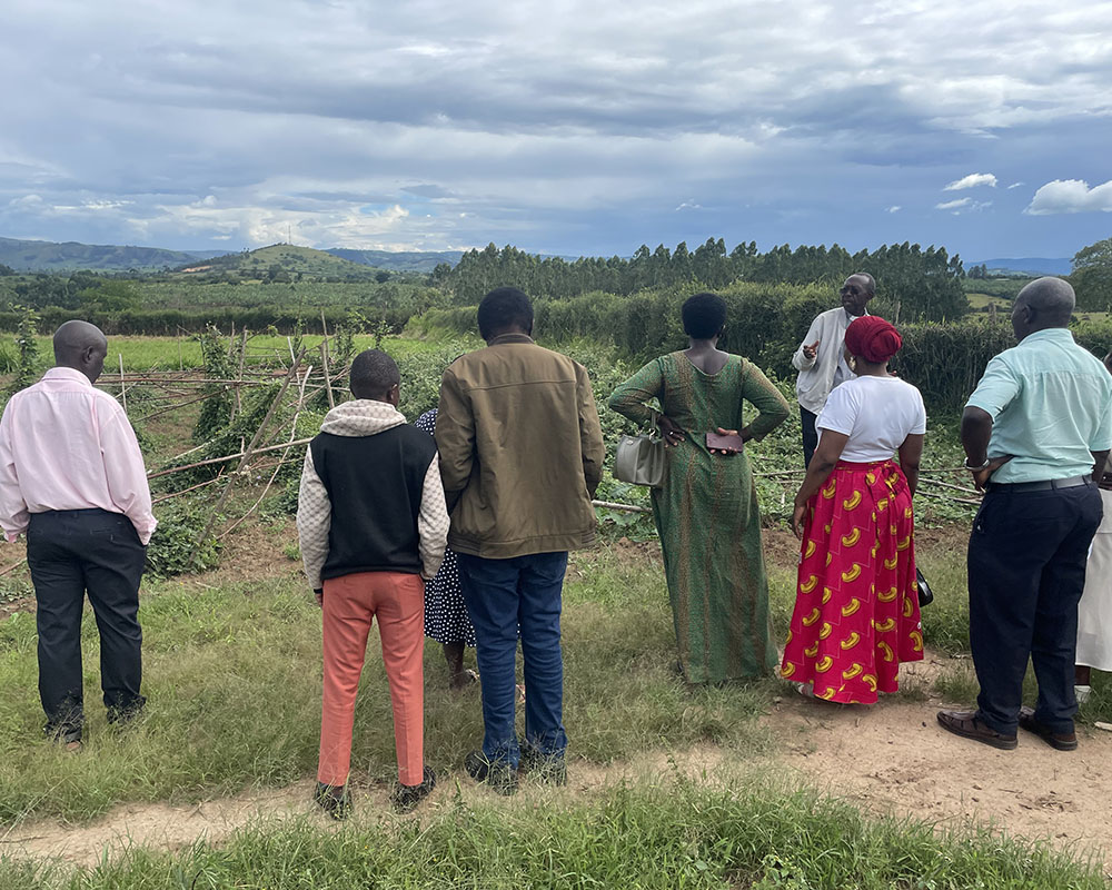 Pasture Workshop and irrigation